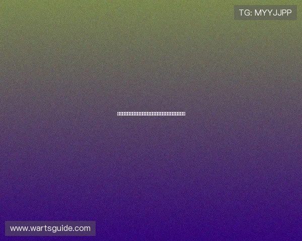 通过老虎机网站查询掌握实时游戏动态提升您的在线博彩体验